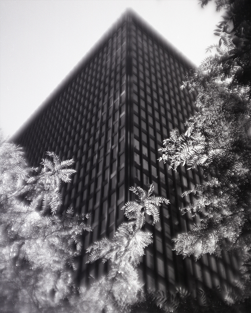 Toronto Dominion Bank