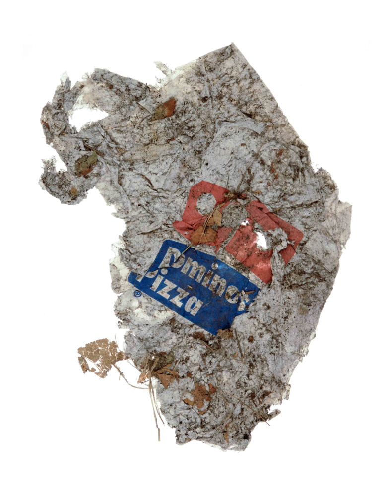 Litter008_1.JPG