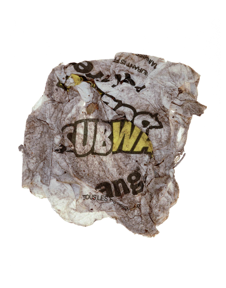 Litter009_1.JPG