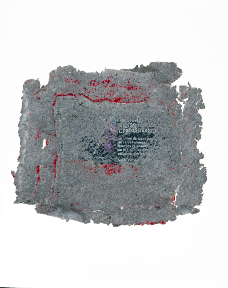 Litter016_1.JPG