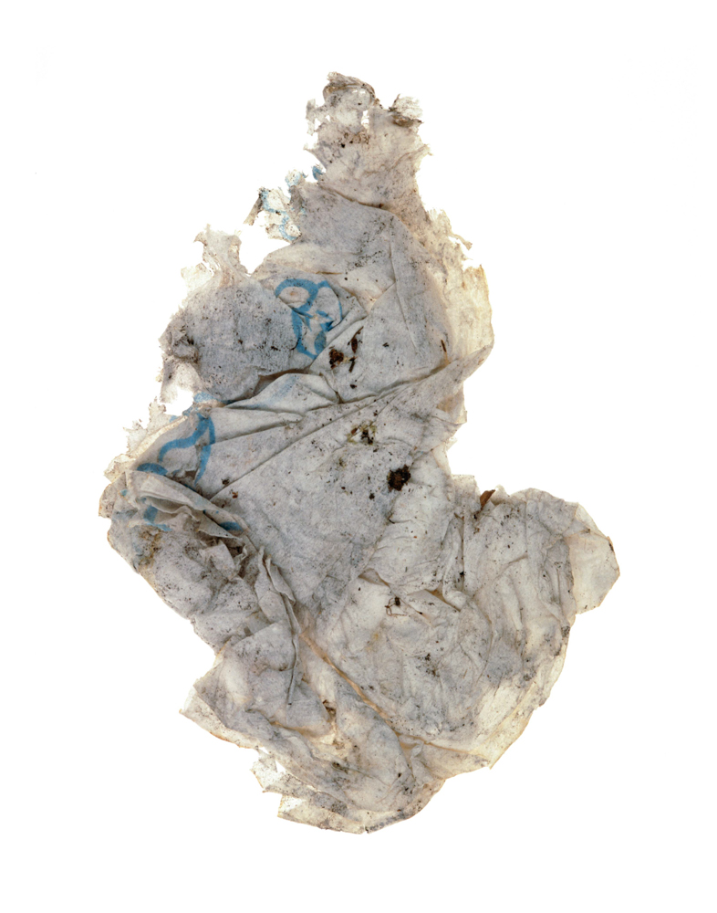 Litter020_1.JPG