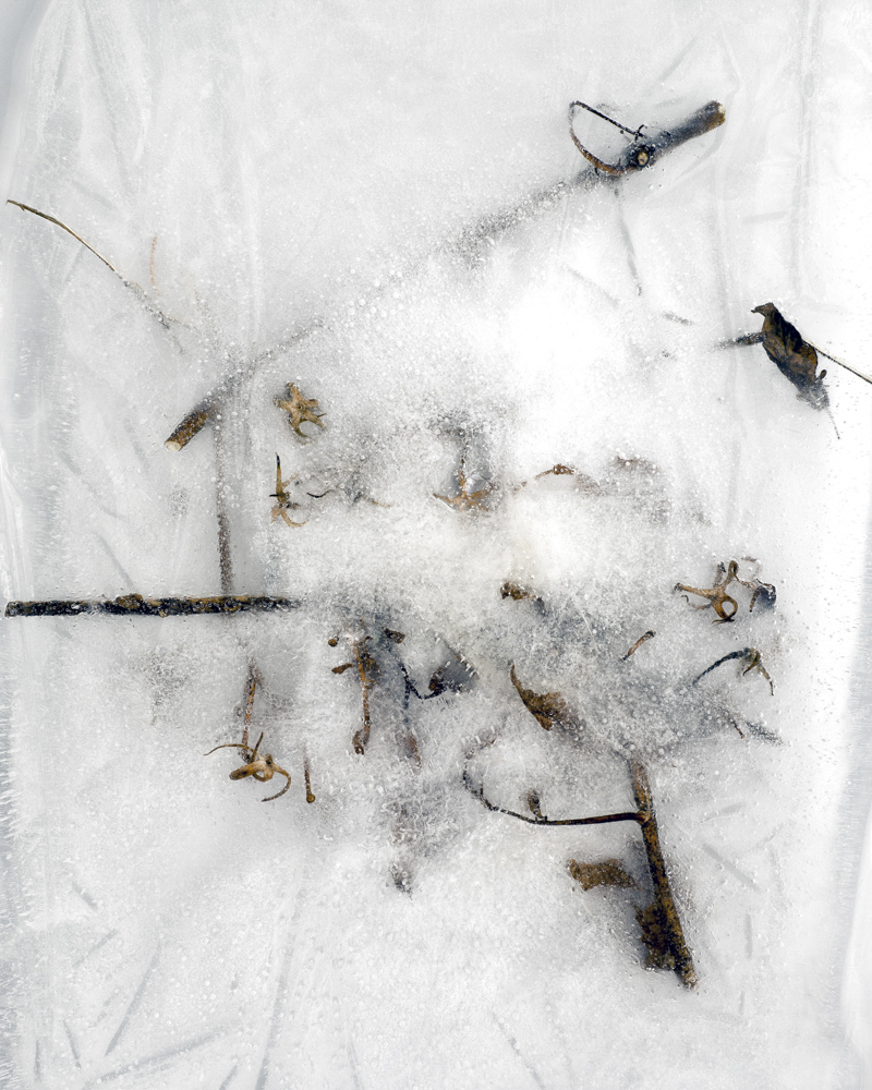 Winter_Garden035