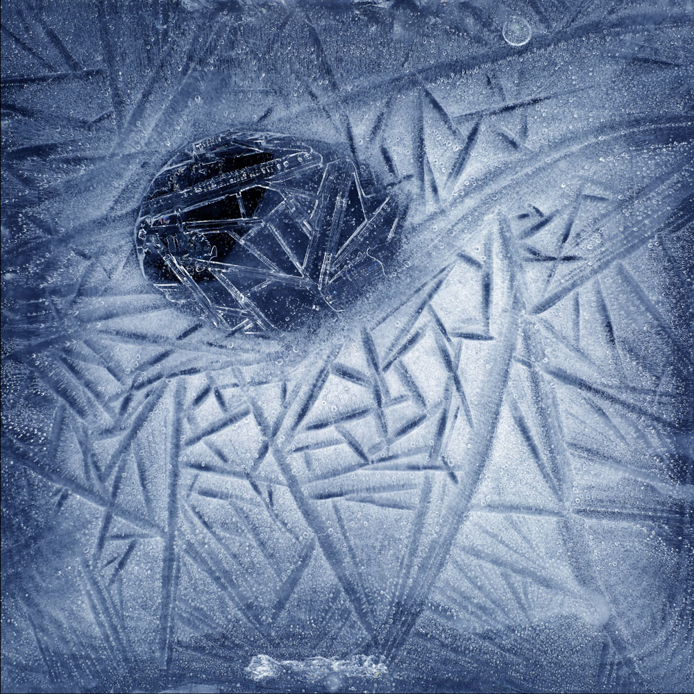 Winter_Garden054
